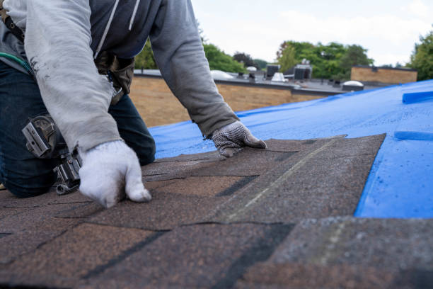 Best Residential Roof Replacement  in Tazewell, VA