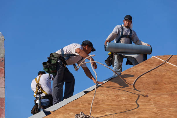 Best Emergency Roof Repair  in Tazewell, VA