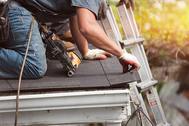 Best Roof Gutter Cleaning  in Tazewell, VA